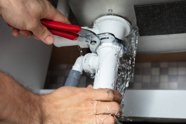 Best Water damage restoration near me  in Alva, FL