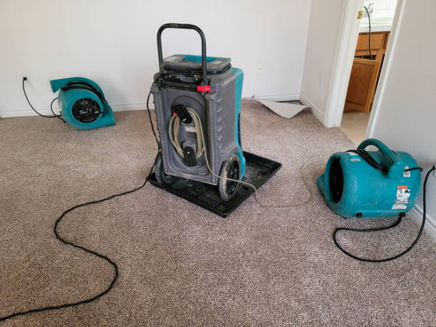 Best Carpet water damage restoration  in Alva, FL