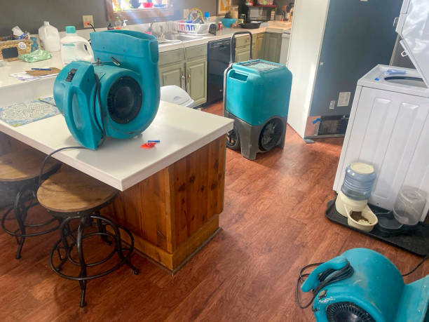 Best Flooded house restoration  in Alva, FL