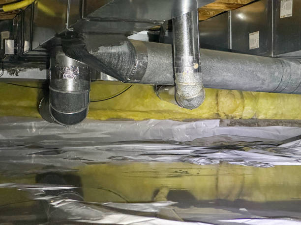 Best Carpet water damage restoration  in Alva, FL