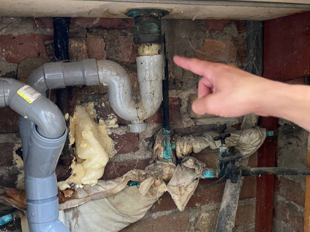 Best Water damage cleanup near me  in Alva, FL