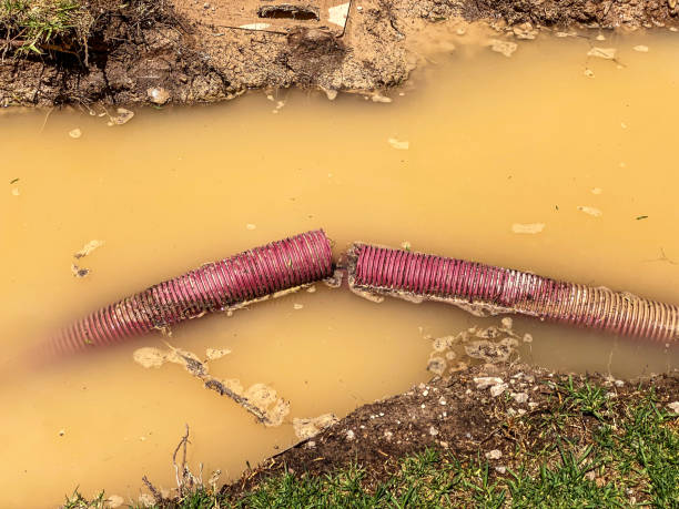 Best Sewage cleanup and water damage restoration  in Alva, FL