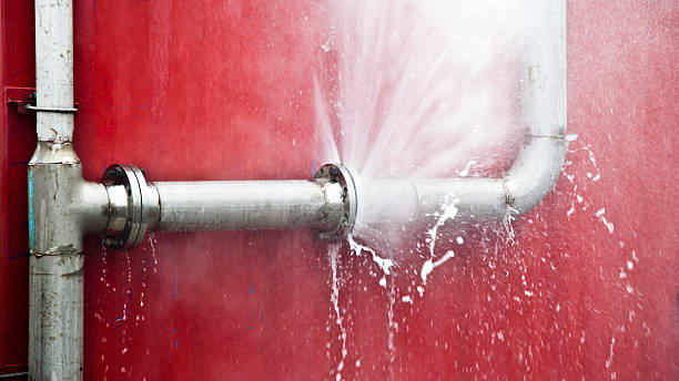 Best 24/7 water damage repair  in Alva, FL