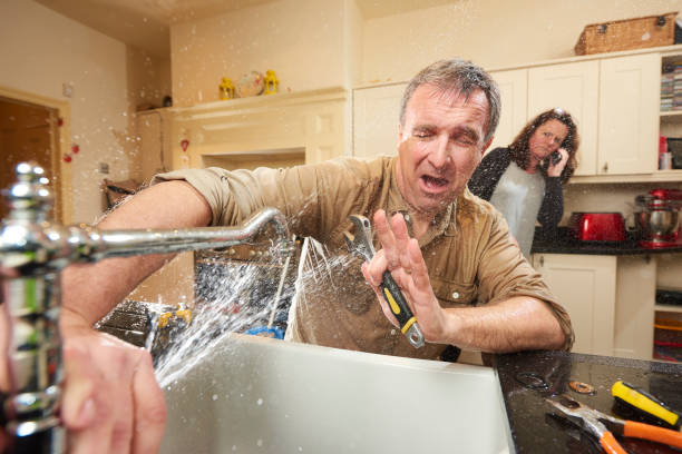 Best Professional water damage repair  in Alva, FL